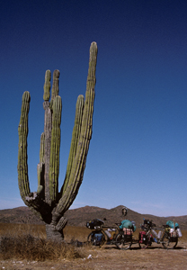 Baja California, Mexiko