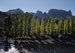 Rio Limay Patagonien, Argentinien